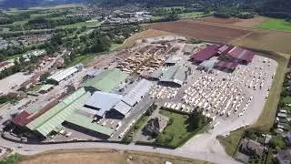 Scierie Ducret vue du ciel