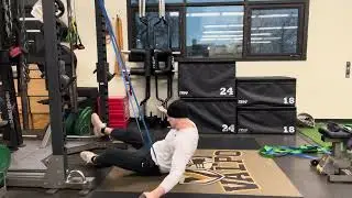 Banded Butterfly/Frog Stretch