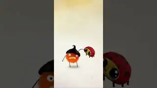 CHUCHEL 😂🐞