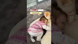#shorts | Cat funny24 - Baby and cat grow up happily together #fyp #cat #funny