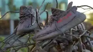 Yeezy Boost 350 