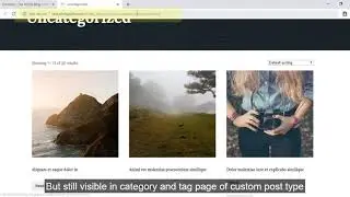WordPress Hide Post - Hide Custom Post