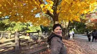 Spooky Season + Fall Feels 🎃👻 | Halloween Walk |Toronto in 4K 