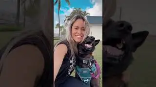 Nashville Musician on Tour in Hawaii - Vlog (Part 3)
