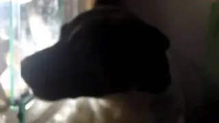 Bonnie vs Bartagarme :D