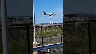 Jets Windy Day Landing at Newark Airport #planelanding 