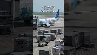 The Pokemon plane #garuda #indonesia #pokemon