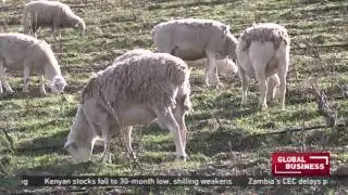 Waterkloof wine estate enlists animals in wine making process