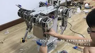 ME 02: An Agile Quadruped Robot