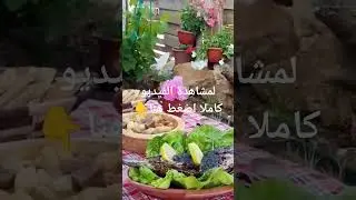 village cooking in Algeria