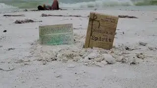 Ocean Sounds Healing 💫 Oracle Card in description