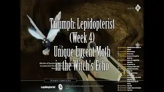 Unique Lucent Moth in the Witch's Echo