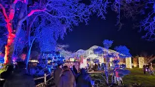 Glass House Water Gall RHS Glow Winter Garden Wisley Surrey - #RHSGarden #Glow #BeautifulLights 