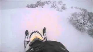 Ski-doo freeride 800 146 powder