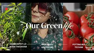 Garden update !!  || Homedepot lo 5 basthalu manure techam🤷&zwj;♀️ || TELUGU VLOGS FROM USA