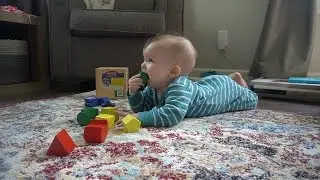 Building Towers with Little Man