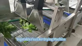 Air Blow Vegetable Drying Machine Vegetable Dewatering Machine