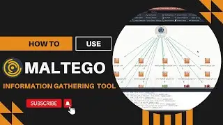 Information Gathering with Maltego - Maltego Tutorial for Beginners 2024 Bangla