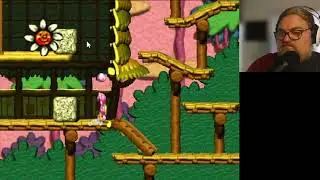Twinbeard plays Yoshi's Story - Chapter 4