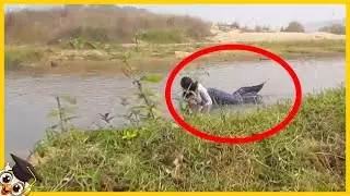 10 Mythische Wezens Op Camera Vastgelegd - Deel 2