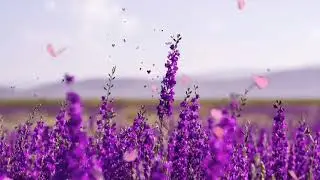 GARDEN VIEW- Relaxing Nature Sound Relieves Stress, Anxiety and Depression, Sounds of Nature