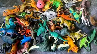 ASMR Animal & Dinosaur Toys | Tapping and Dropping Satisfying | No Talking