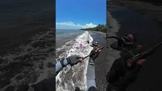 casting  soft LURE ajing