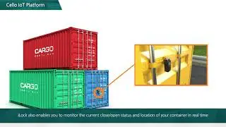 High-Value, Sensitive Cargo Transport Management: A case study of Cello IoT