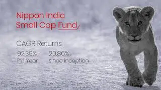 Nippon India Small Cap Fund | October 2021