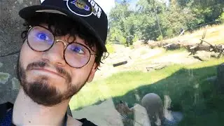 Visited The Fresno Chaffee Zoo! Baby Rhino & Baby Giraffe VLOG 7