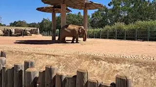 National Zoo Rabat Morocco #culture #turism #zoo #rabat #stedentrip   المغرب    #هولندا#