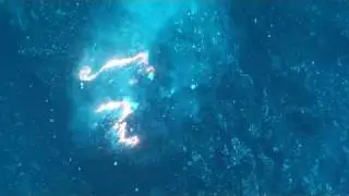 Lava Dive Highlights