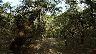 Trail Time With Tootsie - Jester Trail Hill (Downhill)