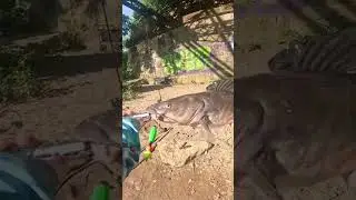 Спасибо