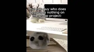 That One Guy On the Group Project😂 #joseph47 #subscribe #meme #hamster #school #funny #roblox