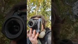 Fujifilm S3 PRO #forest #nikonphotography #nikon #mirrorlessphotography #photography