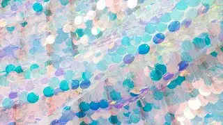 Fancy Dream Color Iridescent Large Sequins White Mesh 30871
