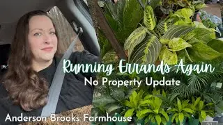 Target Houseplants || Our BEST Garden Center for Houseplants || Anderson Brooks Farmhouse