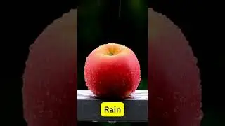 Rain Video #shorts
