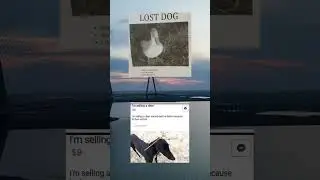#funny #memes | lost my duck.