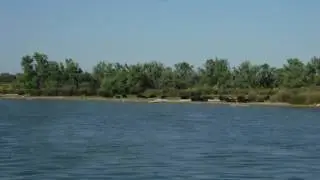 DSCF1340