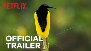 Dancing With The Birds | Official Trailer | Netflix