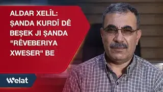 Aldar Xel&icirc;l: Şanda Kurd&icirc; d&ecirc; beşek ji şanda 