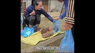 Village Life 🌿 | Brown Tuber Harvest, Market Sale & Fish Release