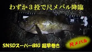 わずか３投【実釣２分】で尺メバル降臨！ＳＮＳＤスーパーＢＩＧのポテンシャルを公開