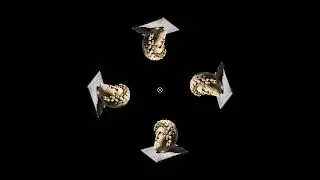 Stone statue of a man's head #archeology #3d #heritage #hologram #assyria