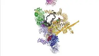 RNA Splicing by the Spliceosome: Supplemental Video 1 - An overview of pre-mRNA splicing