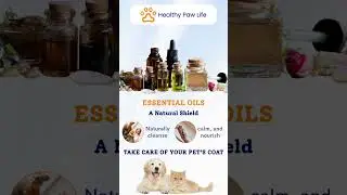 What&rsquo;s Inside Our Products