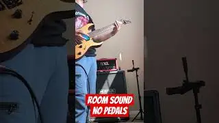 Engl Fireball 25 high gain no pedals