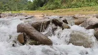 Kali jernih di pinggir sawah